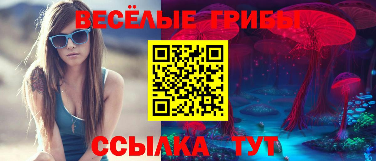 Псилоцибиновые грибы мухоморы  Вход с VPN  Королёв 